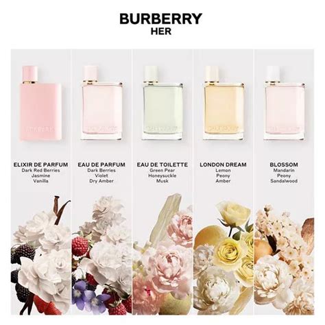 falconi burberry|burberry her fragrance.